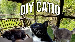 BUILDING A DIY quotCATIOquot FOR OUR CATS [upl. by Otsuj]