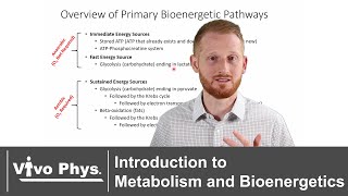 Introduction to Metabolism and Bioenergetics [upl. by Daryl949]