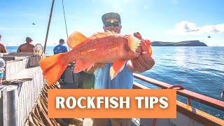 Rockfish Fishing Tips  Deep Sea Fishing in Southern California amp Orange County [upl. by Arhoz]