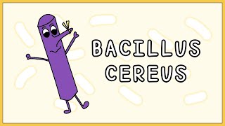 Bacillus cereus Simplified Morphology Types Symptoms Treatment [upl. by Rehpoitsirhc]