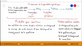 11Préparation à lexamen national  Lexpression de linformation génétique 2BAC PCSVT1BAC SM [upl. by Sabra]