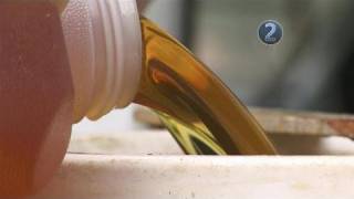 How To Make Biodiesel Using A Used Cooking Oil [upl. by Maleeny]