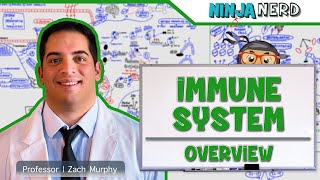 Immunology  Immune System Overview [upl. by Seleta]