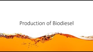 Chem Help  Production of Biodiesel [upl. by Aiem]