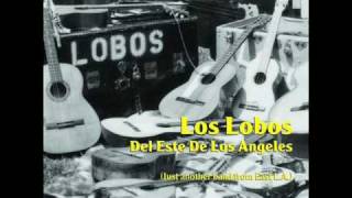 Los Lobos  Sabor a mi [upl. by Eibmab470]