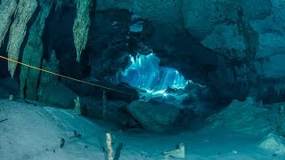 Cenote diving Dos Ojos Mexico [upl. by Eenttirb433]