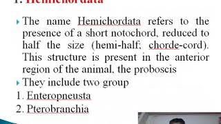 Protochordata classification part A [upl. by Latsyc]