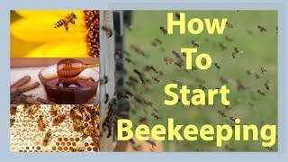 Beekeeping How To Start Beekeeping In 2025 [upl. by Flavio]