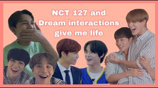 nct 127 and dream interactions that added ten years to my life [upl. by Poliard]