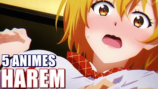 5 ANIMES HAREM ESCOLARES ECCHI ROMANTICOS QUE VALEN LA PENA VER  Animes recomendados 2020 [upl. by Euqinim]