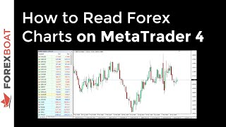 How to Read Forex Charts on MetaTrader 4 [upl. by Deibel]