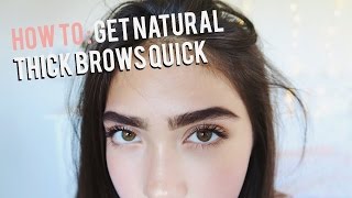 How To Grow Eyebrows FAST Thick amp Natural [upl. by Sheffield]