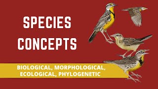 SPECIES CONCEPTS BIOLOGICAL MORPHOLOGICAL ECOLOGICAL PHYLOGENETIC [upl. by Kilby720]