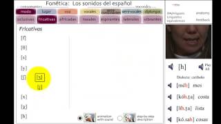 Fonética LOS SONIDOS DEL ESPAÑOL  Parte 1 [upl. by Hollister]