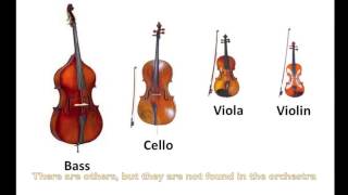 Instruments of the OrchestraStrings Part 9  Listening Examples [upl. by Adlemy]