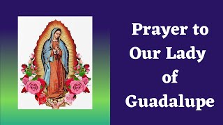 Prayer to Our Lady of Guadalupe [upl. by Dermot]