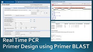 Primer designing for real time PCR using NCBI Primer Blast [upl. by Eiralih]