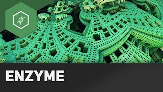 Enzyme [upl. by Yl]