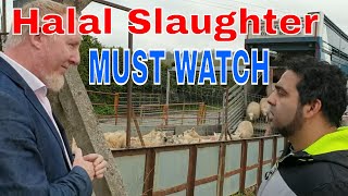 Halal Slaughter  Must watch [upl. by Torrey]