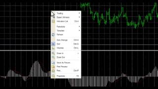 How to load your charts in MetaTrader 4 MT4 [upl. by Thorr]