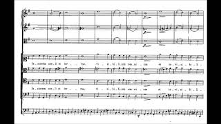 Franz Schubert  Mass No 2 in G major D 167 with score [upl. by Eatnhoj701]