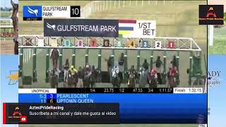 Aqueduct Live Stream Races [upl. by Ruscio602]