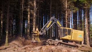 Tigercat LX870D Feller Bunchers in Washington [upl. by Warfold]