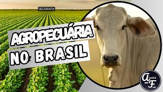 AGRICULTURA E PECUÁRIA NO BRASIL GEOGRAFIA [upl. by Calia]