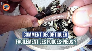 Comment décortiquer les poucespieds facilement [upl. by Bainbridge]