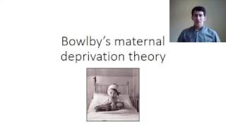 Attachment Bowlbys maternal deprivation hypothesis [upl. by Genevra]