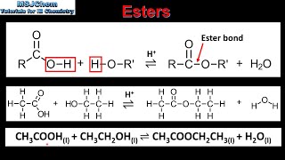 S322 Esters [upl. by Oeht651]