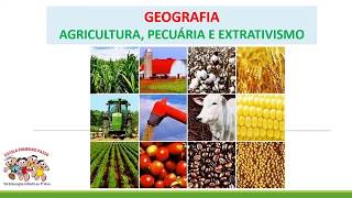 Agricultura Pecuária e Extrativismo [upl. by Yrahk]