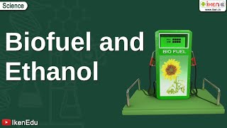 Biofuel and Ethanol  Class 10 Environmental Science  iKen [upl. by Aikemet876]