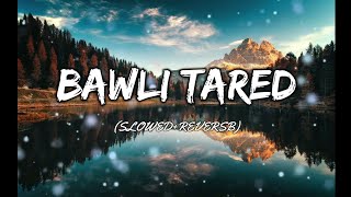 BAWLI TARED slow  reverb [upl. by Scharaga]