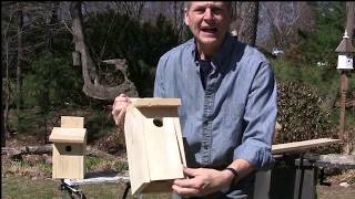 How to Build Blue Bird House [upl. by Sanchez]