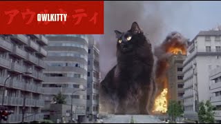 Its Catzilla [upl. by Mahda]