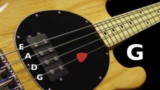 Bass Tuner  Standard Bass Tuning E A D G 4 Strings [upl. by Rosie]