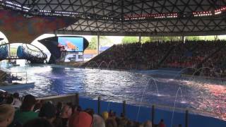 One Ocean at SeaWorld San Antonio  Full HD Show [upl. by Franklin]