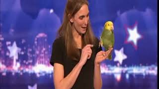 AGT  Americas Got Talent  Echo the Parrot [upl. by Aicemed]