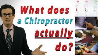 What Does a Chiropractor ACTUALLY Do [upl. by Ainekahs]