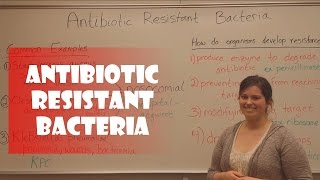 Antibiotic Resistant Bacteria [upl. by Walworth]