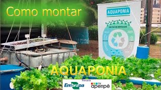 Aquaponia passo a passo como montar embrapa [upl. by Hope163]