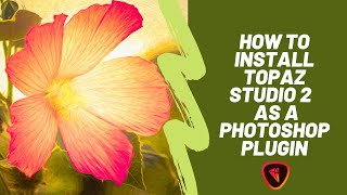 How to Install Topaz Studio 2 as a Photoshop Plugin [upl. by Yarb695]