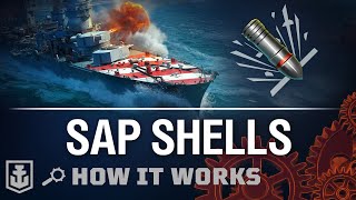 How it Works SAP Shells [upl. by Kalb214]