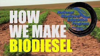 How We Make Biodiesel 2018 [upl. by Hgielek765]